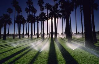 Sprinkler Repair Guy